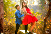 RHT_8691c