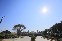VJY_0193