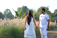 ARK_ (10)