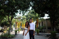 ARK_ (11)