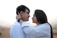 ARK_8775
