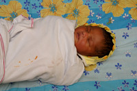 1-2068--DINESHBHAI PATEL-[TRISHA]-[SOLDHARA]-23-11-2011