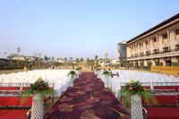 ARK_ (14)