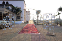 ARK_ (6)