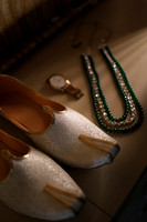 ARK_WA_ (12)