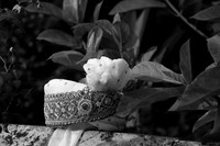 IMG_5895