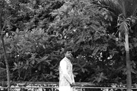 ARK_P_ (28)