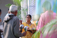 ARK_P_ (10)