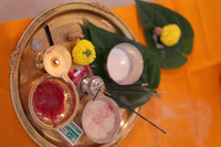 ARK_P_ (17)