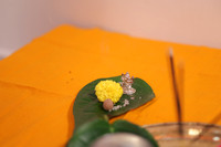 ARK_P_ (24)