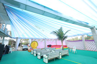 ARK_P_ (4)