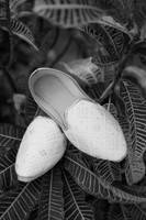 ARK_W_ (10)