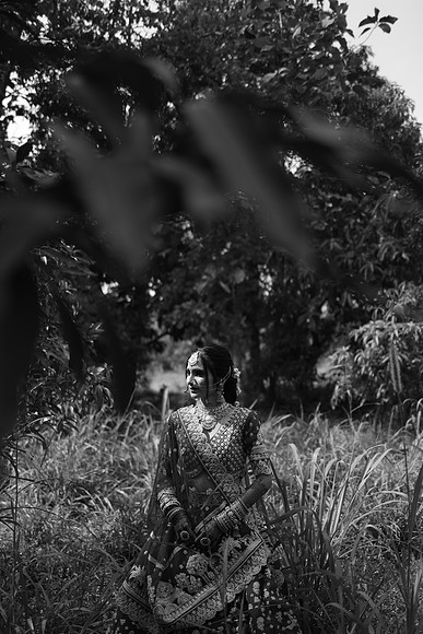 ARK_W_ (344)