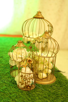 ARK_4479