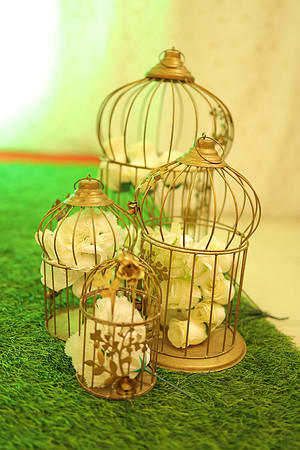 ARK_4479