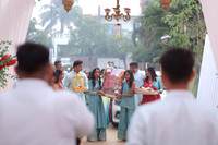 ARK_P_ (12)