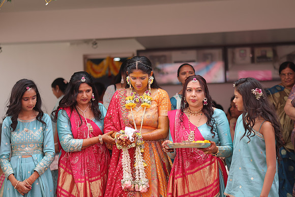 ARK_P_ (220)