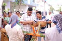 ARK_G_ (25)
