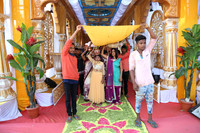 PARV7539