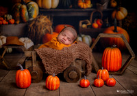 ARK_9601