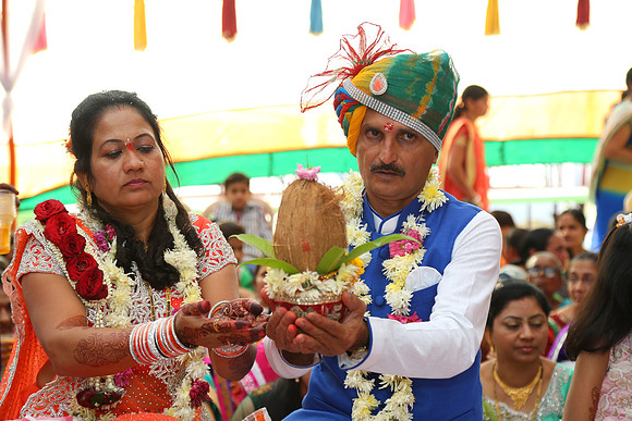 PARV4223