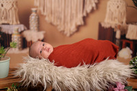 ARK_9792