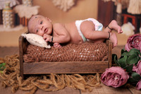 ARK_9803