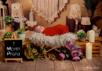 ARK_9790-1 MONTH-PRISHA-P