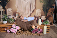 ARK_3448