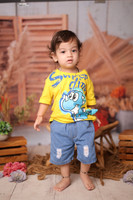 ARK_8062