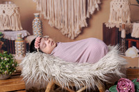 ARK_0401