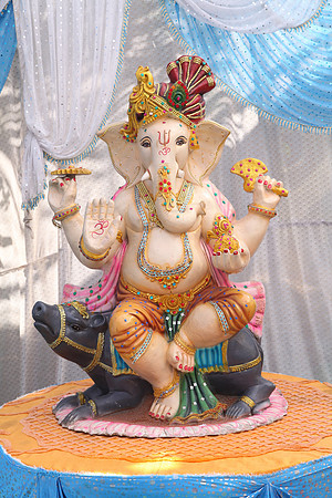 IMG_6053