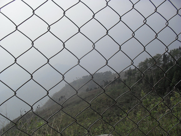 SAM_0248