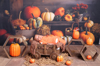 ARK_9939