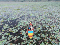 DJI_0205