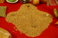 VKP_7176