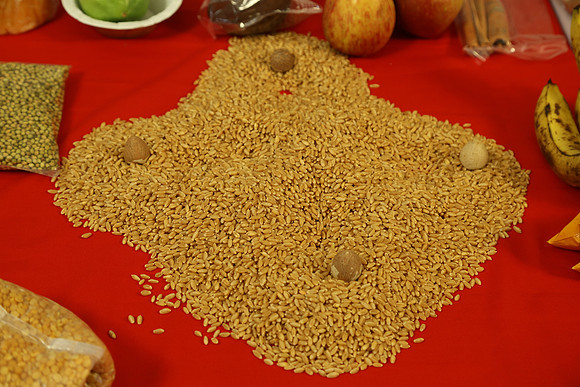 VKP_7176