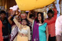 PARV7540