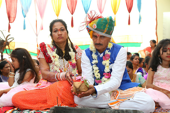 PARV4213