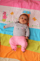 ARPK1991