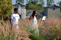 ARK_ (25)