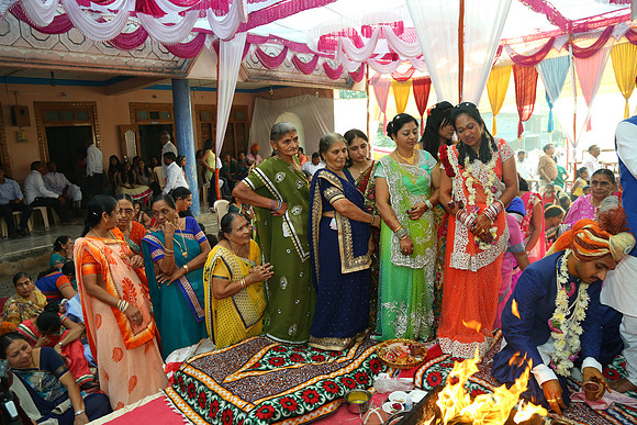 PARV4291