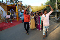 PARV7542