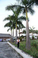 JMK_4553