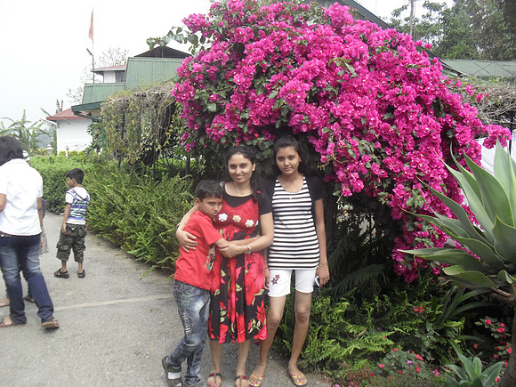 SAM_0296
