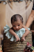 ARK_4366
