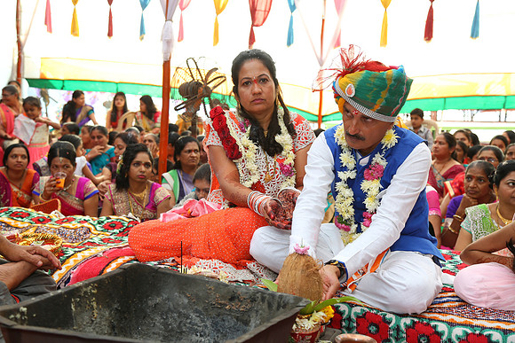 PARV4221