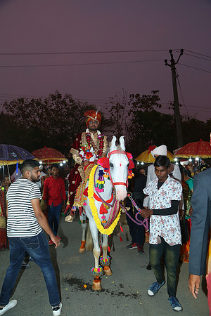 NST_2356