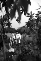 VJY_5293