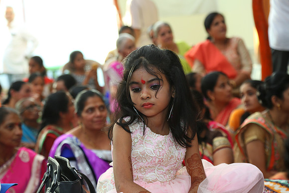 PARV4240